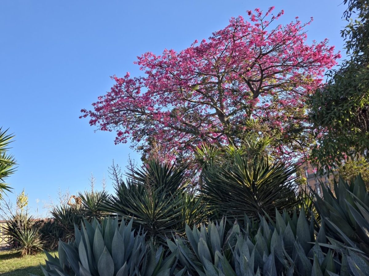 Neapol-San-Giovanni-Rotondo-X.2025-15