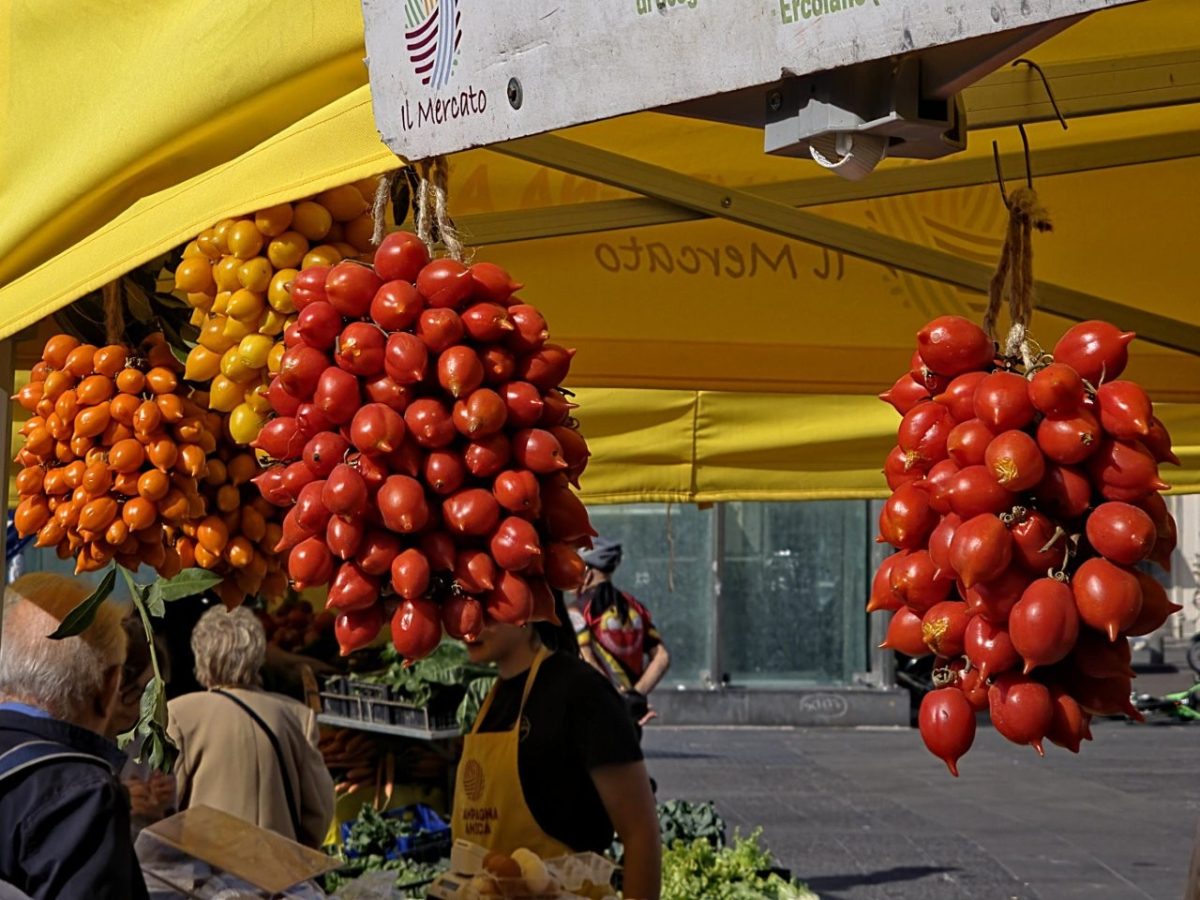 Neapol-San-Giovanni-Rotondo-X.2025-25