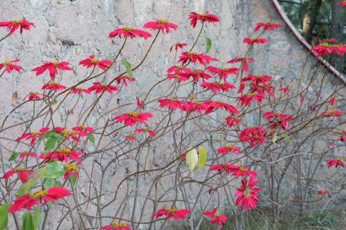 PANA2243134Mesyk2024_dobrapielgrzymka.pl