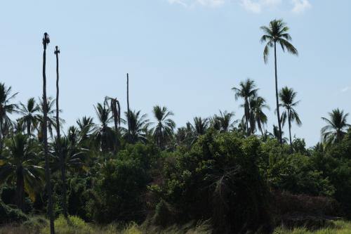 PANA2387155Mesyk2024_dobrapielgrzymka.pl