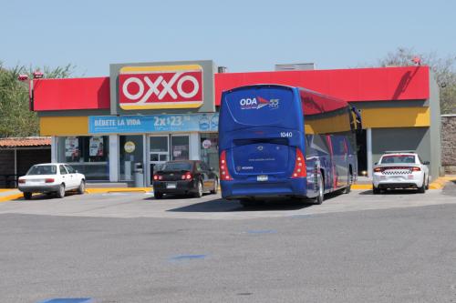 PANA2554176Mesyk2024_dobrapielgrzymka.pl